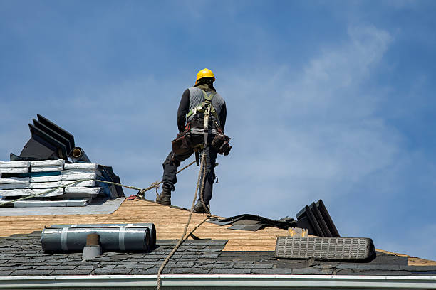 Professional Roof Replacement technician working in Fentress, TX